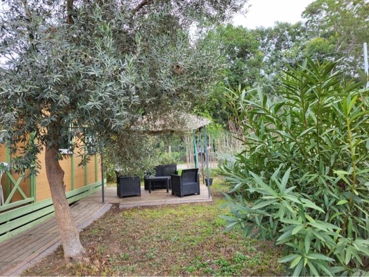 Chalet Avec Patio En Haute Corse 5 Couchages Camp du Cap Sud 외부 사진
